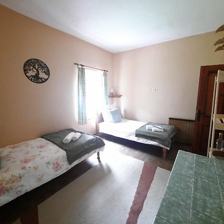 Appartement Stara Hisa à Log Cezsoski Extérieur photo