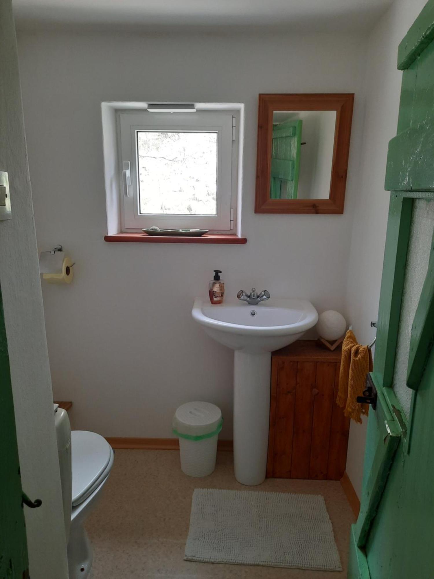 Appartement Stara Hisa à Log Cezsoski Extérieur photo